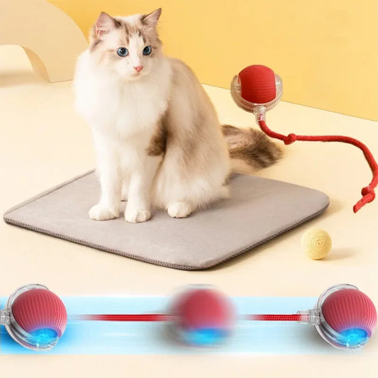 Bola de rolamento elétrica automática para gatos e gatinhos, teaser automátic